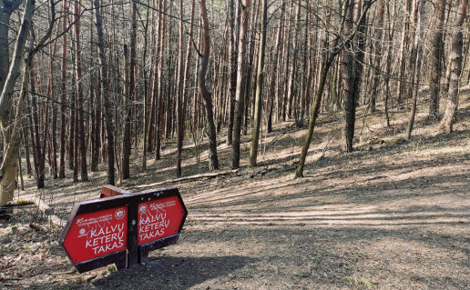 21_Karoliniškių takai (4).jpg